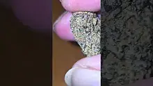 Vinnie's Lounge Video Thumbnail