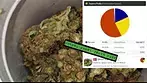 Aurora® Pedanios T22 Ghost Train Haze Medical Cannabis - UK REVIEW