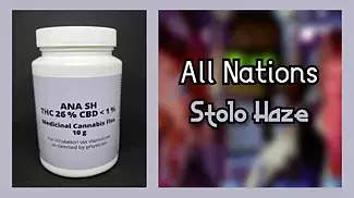 All Nations - Stolo Haze | First Look