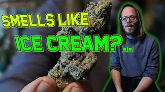 Cheers Cannabis | Cap Junky | UK Medical Flower Review