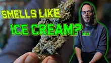 United Patients Alliance Video Thumbnail