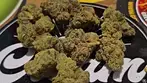 4C Labs Premium BDD T26 Banana Daddy Medical Cannabis Flower