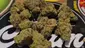 Video Thumbnail: Keep Blazing Stay Amazing