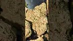 4C LABS ZKITTLEZ FUEL (UK PRESCRIPTION MEDICATION)