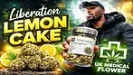 UK MEDICAL FLOWER | PRIMACANN | T21| LIBERATION LEMON CAKE #420community #ukmedical #cbpm #420