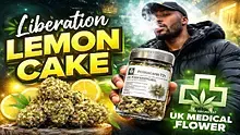 Cannabis Culture  Video Thumbnail