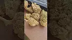 Berry cream puff by #upstate #cannabisdispensary #cannabiseducation #green #genetics