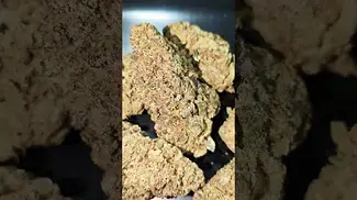 SOMA OG LA BAKER (UK PRESCRIPTION MEDICATION)