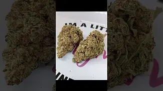 Upstate Pineapple God review in description
