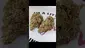 Video Thumbnail: HighThoughts Low Focus