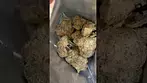 Double Baked Cake by Sitka Legends (seeds?)