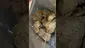 Video Thumbnail: High Jack