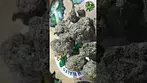 4C Labs Donny Burger T21 UK medical cannabis flower #cannabiseducation #medicalcannabis #cannabis