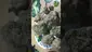 Video Thumbnail: VIP THC