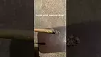 Green karat T29 supreme diesel burn