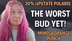 The WORST BUD I Have EVER Paid For