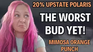 The WORST BUD I Have EVER Paid For