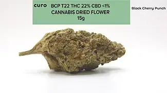 Curo T22 Black Cherry Punch - Special of specials.
