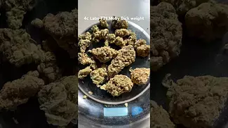 4c Labs T21 Moby Dick weight