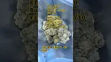 Henry Hemp Video Thumbnail