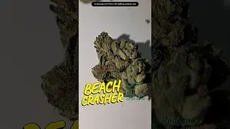 Beach Crasher by Redecan Tilray IPS THC 25% UK MEDICAL BN 260416132 ED 13 OCT 26