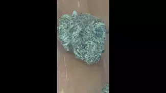 Garlic Zkittlez  | Lot 420 (AAAA) Medical First Look