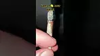 How it smokes MCCN No.5( lemon sour diesel ) discord coming soon