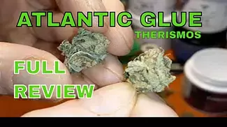 ATLANTIC GLUE | Therismos Craft | 29% | FULL REVIEW (2 of 2)