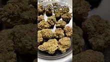 Pain Patient Video Thumbnail