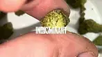 LIT SD Smalls T30 Sour Diesel Medical - strain reviews #47