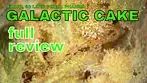 GALACTIC CAKE | FAAFO, 4C Labs & Xeal Pharma | FULL REVIEW