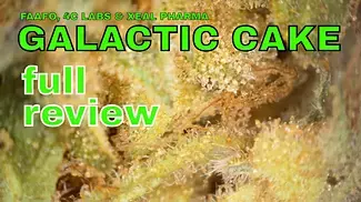 GALACTIC CAKE | FAAFO, 4C Labs & Xeal Pharma | FULL REVIEW