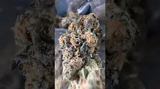 Green Karat |Loud Cake | UK Medical Flower #medicalcannabis #ukmedicalcannabis