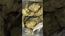 MBUK Video Thumbnail