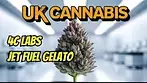 4c labs Jet fuel gelato uk medical cannabis