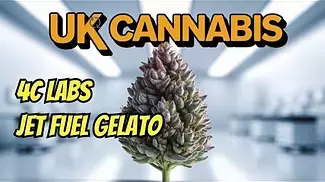 4c labs Jet fuel gelato uk medical cannabis