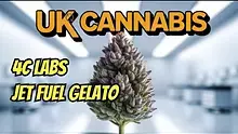 Welcome to the Press Video Thumbnail