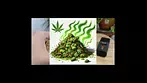  4C Labs Grape Cream Cake  | Strain Short #Cannabis #Shorts