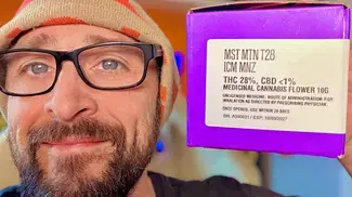 Mystery Mountain: Ice Cream Mintz Review