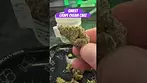 Qwest | Grape Cream Cake | First Look