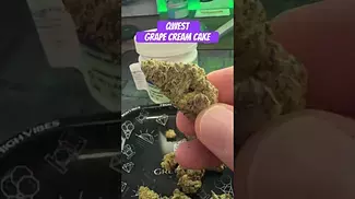 Qwest | Grape Cream Cake | First Look