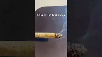 4c Labs T21 Moby Dick burn