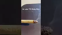 Pain Patient Video Thumbnail