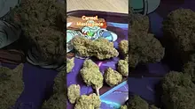 Doc Green Bud Video Thumbnail