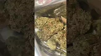 Pure sunfarms ( Pink kush )