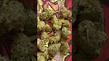 High Jack Video Thumbnail