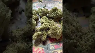 OZK T29 NUGS 2 | UK Medical Cannabis Strain Review #ukmedicalcannabis #ukmedical #cannabiseducation