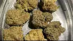 Aurora T28 Chemango kush REVIEW