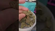 Eazypax420 Video Thumbnail