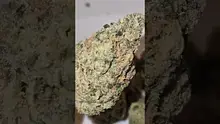 2cavjav Video Thumbnail